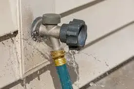 Save Water and Money